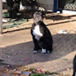 Meet your Posher, Aaron